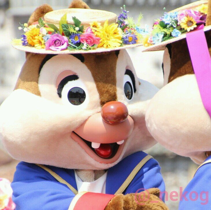 ♡mrt♡デール♡🥷 mtk orym♡ 本垢(@_goken)鍵付の為の交換譲渡取引垢 成人済