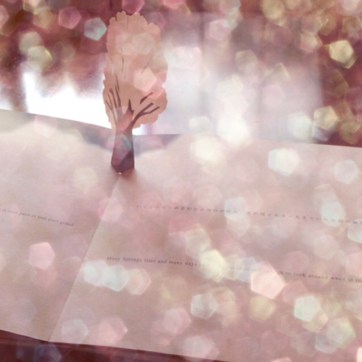 norinoripaca's profile picture. 本とカメラとcafeが好き。