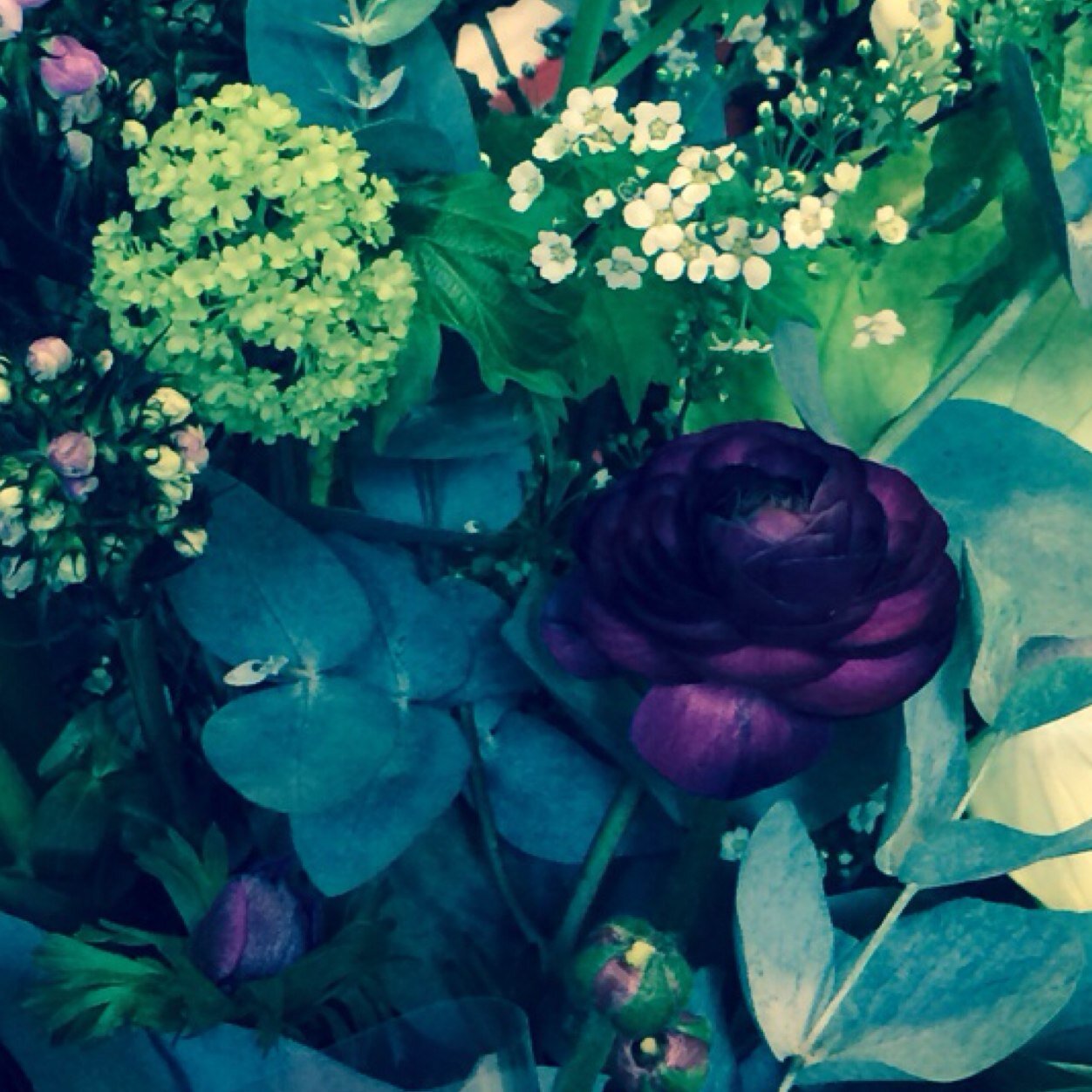 Tips_4brides's profile picture. Anonymous hints and tips for brides and grooms from an industry insider