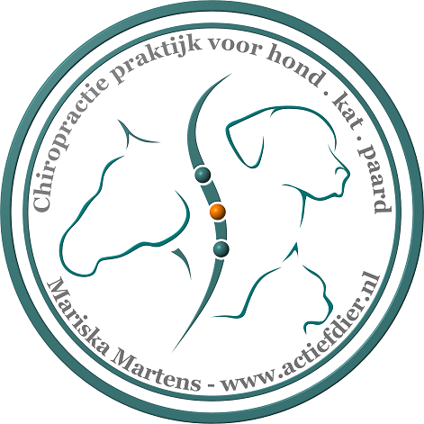 Martens - Diergeneeskundig Centrum voor Chiropractie & Beweging 
https://t.co/ISDq3YHrtq   https://t.co/8dlpAwb8uF