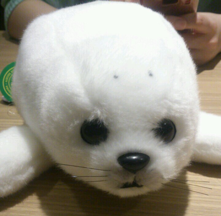 みもりん( ・∇・)