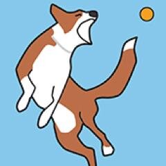Hondenspeeltuin, omheind, vrolijk en veilig spelen met je hond in de stad. Onder toezicht van kundige vrijwilligers.
