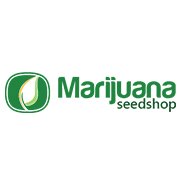 With more than a million satisfied customers over the last decade, we strive to provide you with the highest quality marijuana seeds breeded by leading breeders