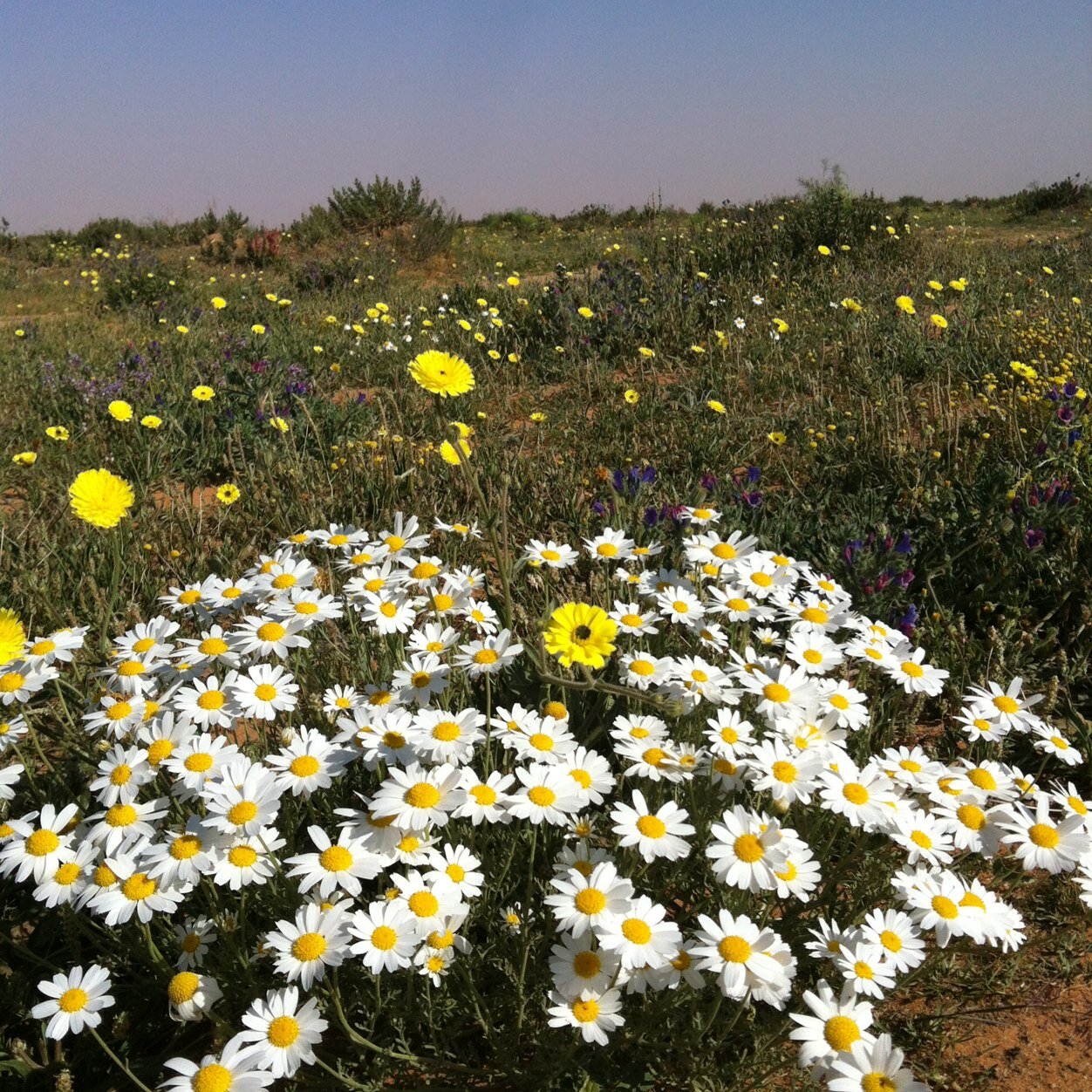 Ms16551's profile picture. 