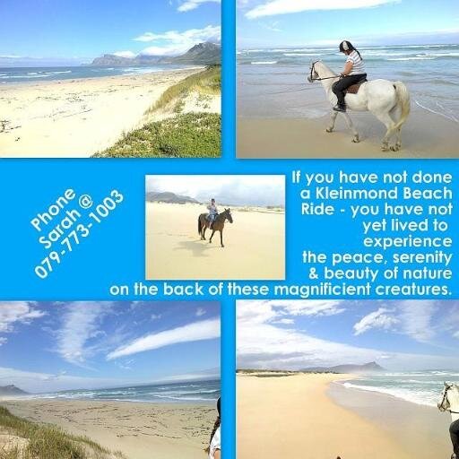 Experts in the Horse riding field, Casual rides, Lessons, Livery, and Therapy riding. Qualified Instructors