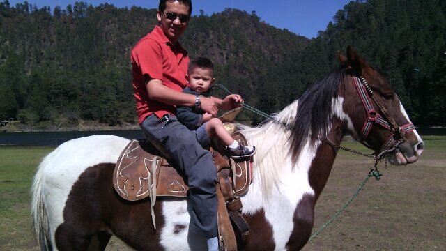 24Cere's profile picture. 