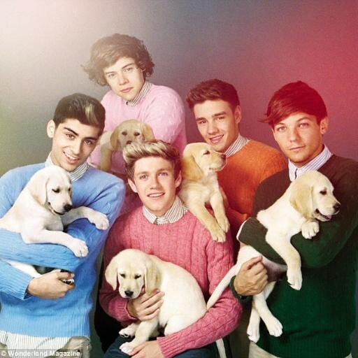 1Directionxs1's profile picture. this is free follow from @elfira_khst . im directioners! 3 liam is mine! ;3