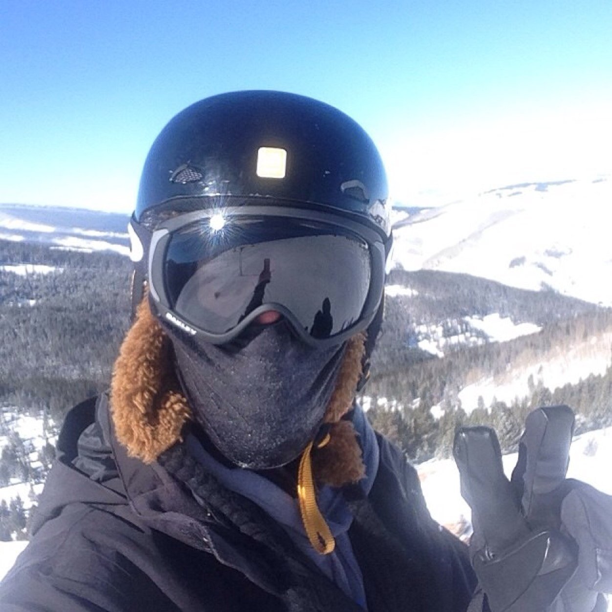 milkos500's profile picture. 