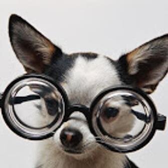 vikpositive's profile picture. 