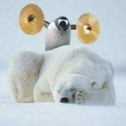 scoux's profile picture. Randomness & drumbassness