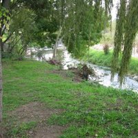 Spruit Day (@spruitdaysa) 's Twitter Profile