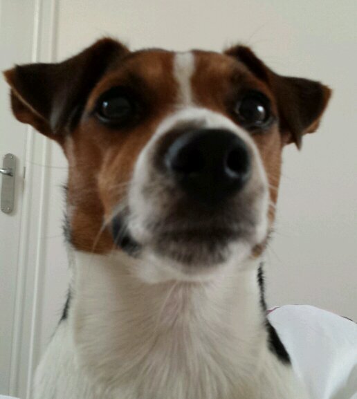 russ_jk's profile picture. 