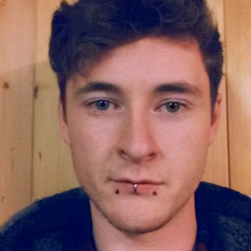 JamesWalshIrl's profile picture. Software Developer - Piercing Enthusiast - Eater of Food