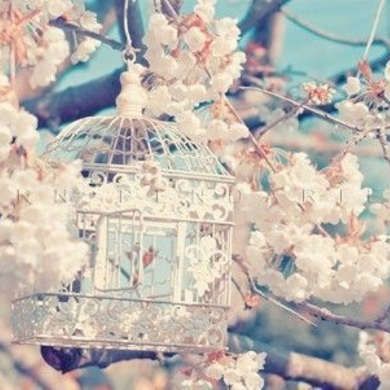 The World Is Full Of kings And Queens Who Blind Ur Eyes And Steal Ur Dreams.