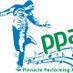 Pinnacle Performing Arts (@pinnacle06info) Twitter profile photo