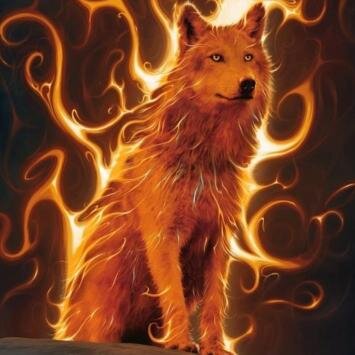 Invest361's profile picture. 