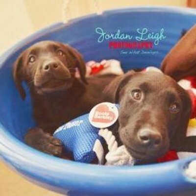 LebanonHumane's profile image