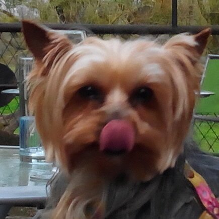 Eather_Poupette's profile picture. 