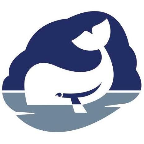 WhaleCare's profile picture. Where gravity is not an option, Whale shower drainage pumps are the solution