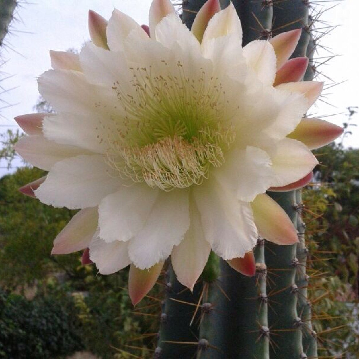 xussa31's profile picture. 