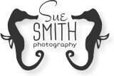 International & national awarded Freelance Photographer, brush & digital creating & exhibiting artist who loves the outdoors, historic architecture, nature ...