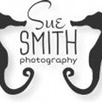 Sue Smith Photography (@smithphotoport) 's Twitter Profile
