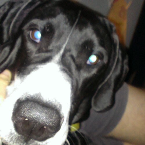 james_zientek's profile picture. 