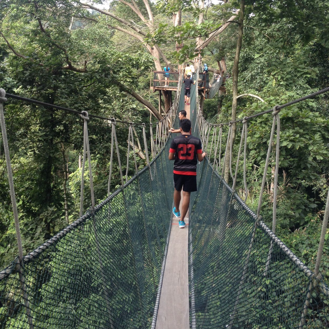 shafiqmuhamad's profile picture. Hmm.. Let me think first!