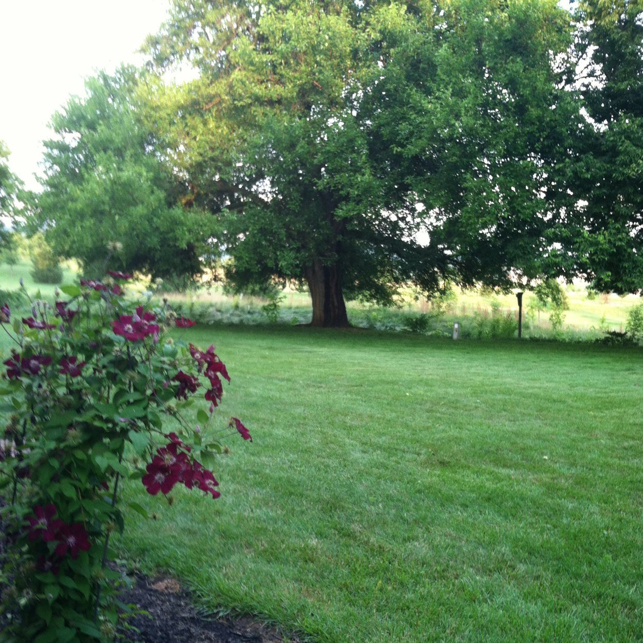 rccedoing's profile picture. 