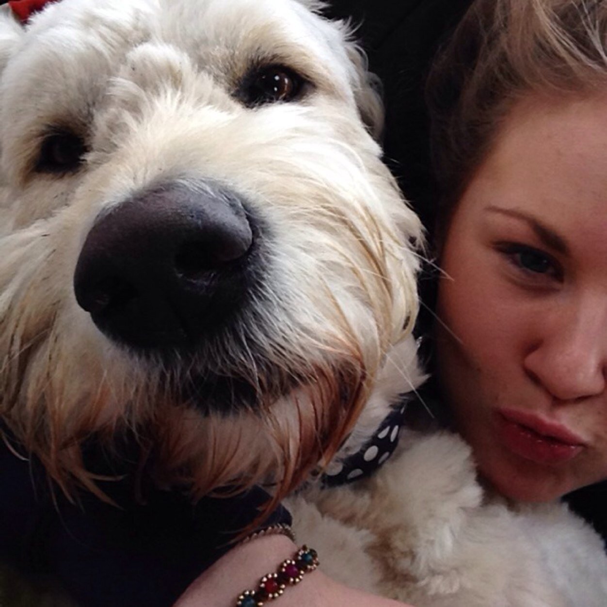 0h_eRin's profile picture. th☮ bfl & ☯ squish