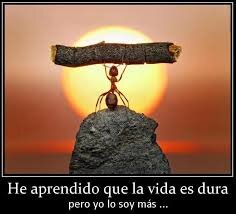 DuraVida1's profile picture. Hay gente que vive la vida, otras la sobreviven.