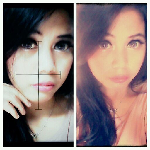 no bacot
