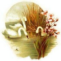sola-breath (@solabreath) 's Twitter Profile