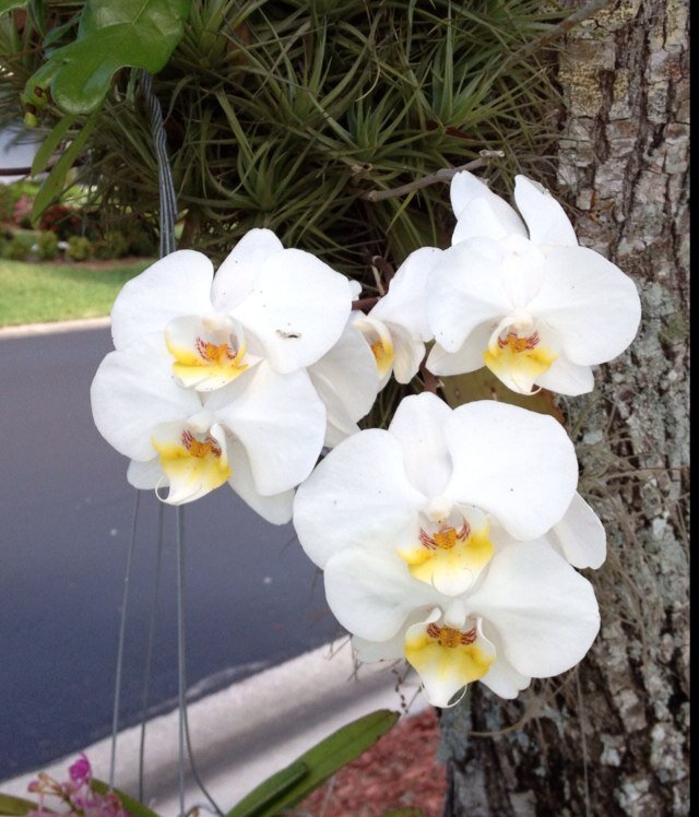 jdk7810's profile picture. 