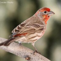 Ana  Martinez (@ammperezdelema) 's Twitter Profile Photo