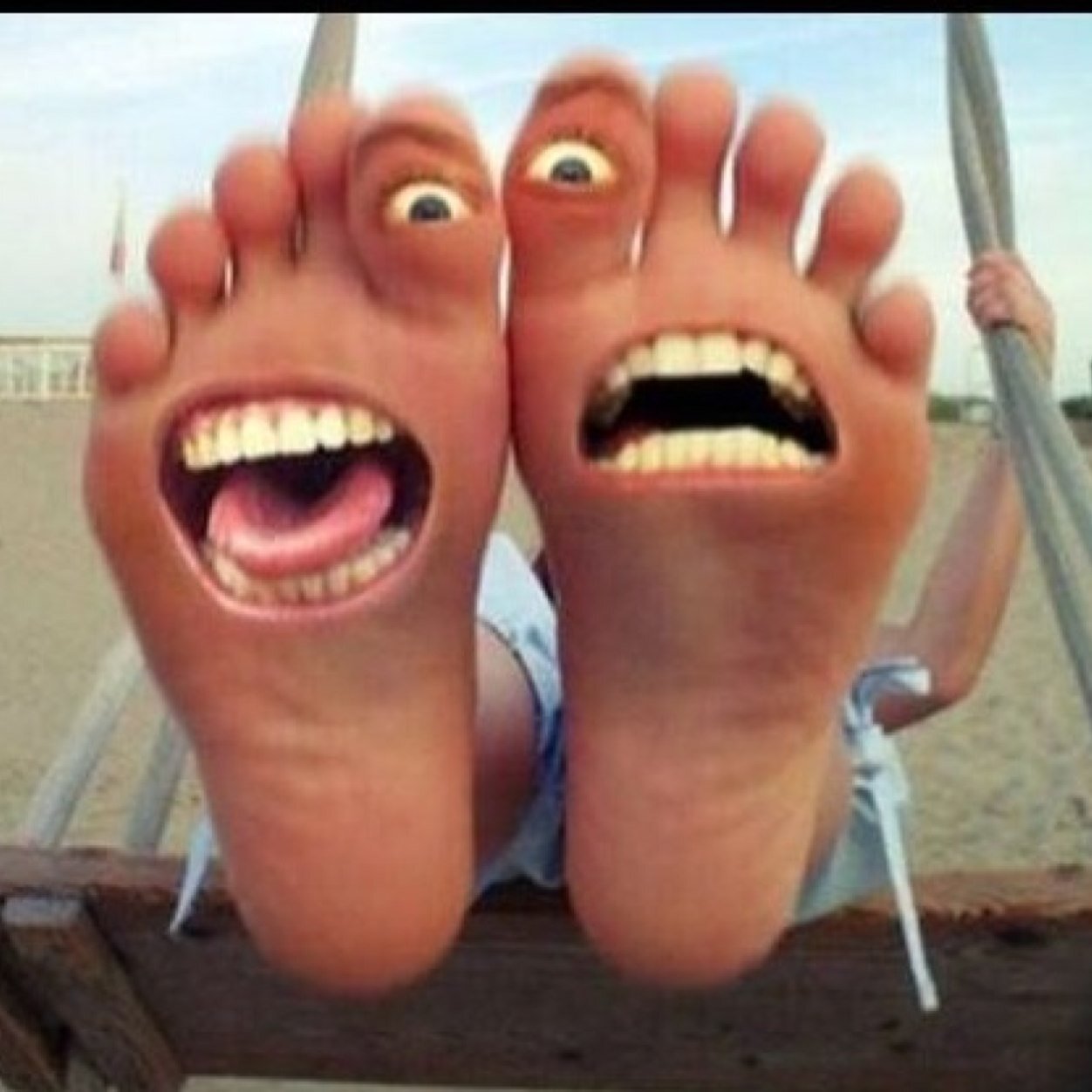 thefeeeet's profile picture. Random musings and one liner comedy by a couple of feet with faces, with some help from our friends. Follow @myphantomkicks and @kc_bower