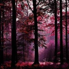 tekstinjii2's profile picture. 