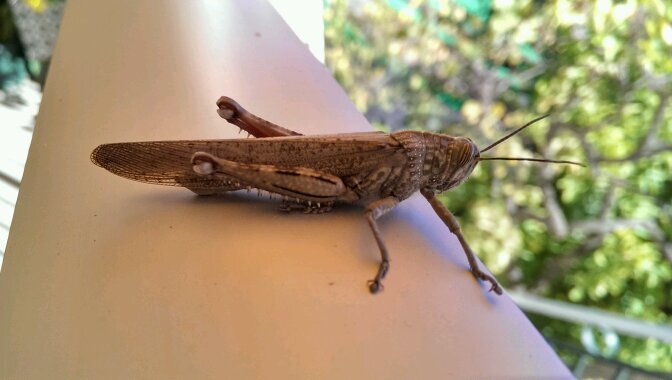 joseluis_34's profile picture. 