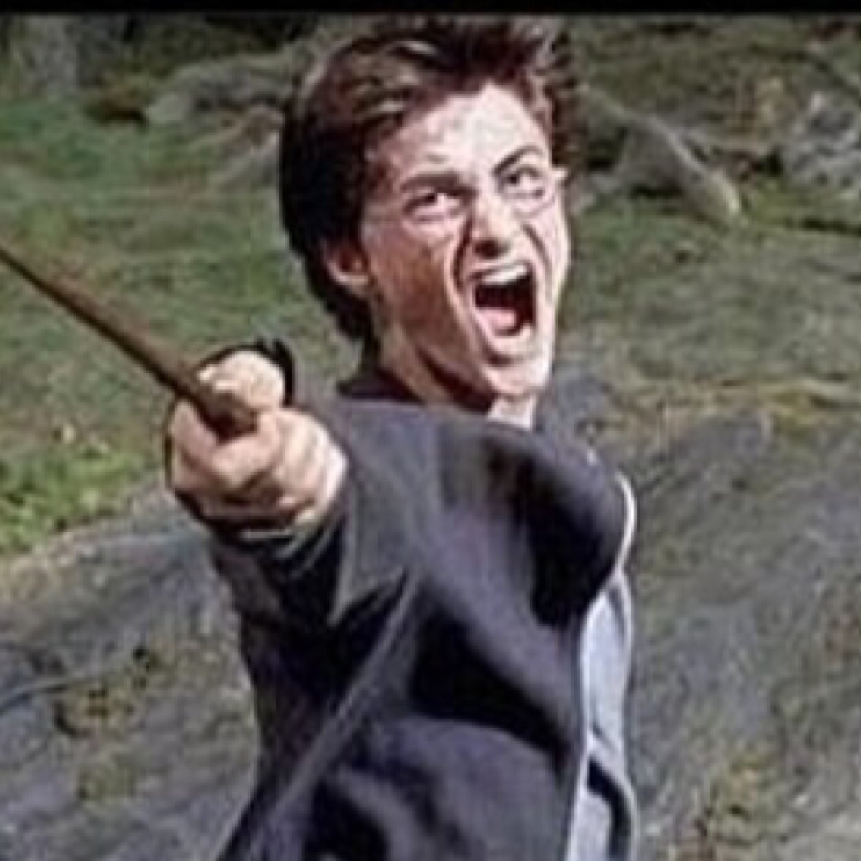 I'm Harry Freakin' Potter. The chosen one. The boy who lived. And I'm a sassy pants. FOLLOW FOR HARRY POTTER JOKES AND LOVE.