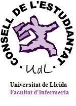 Benvingut al Twitter de la Facultat d'Infermeria de la Universitat de Lleida