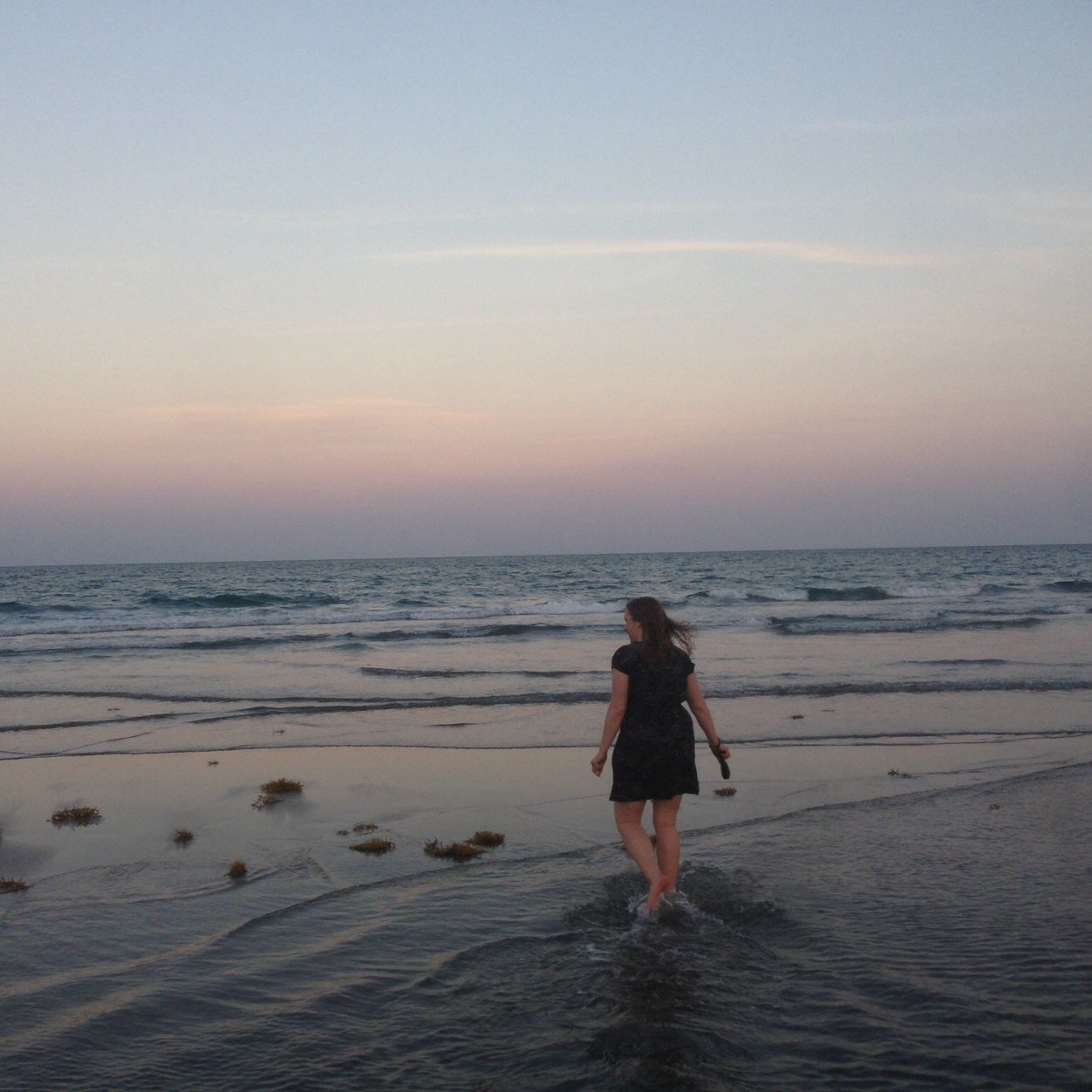 laurieschulz's profile picture. 