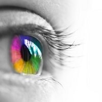 Webstudio Ruhr (@webstudioruhr) 's Twitter Profile