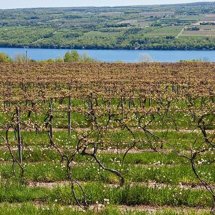 MPHAssistant's profile picture. Assistant to the Head of School. Fan of books, baseball and the change of seasons in the Finger Lakes.