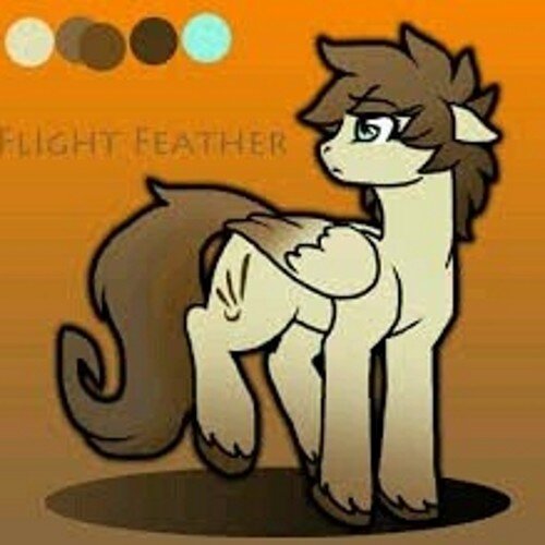 Im feather flight im single My daughter is @mlp_jellybean