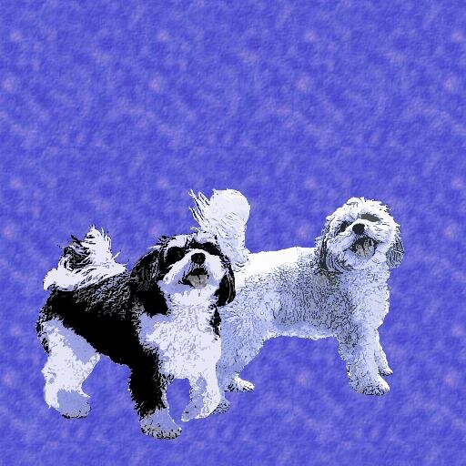 Malachy & Troika's BIG adventure to earth. They teach how Love &Joy can save the world.Since many do not speak dog their story is told by Alicia Todd. SparkleOn