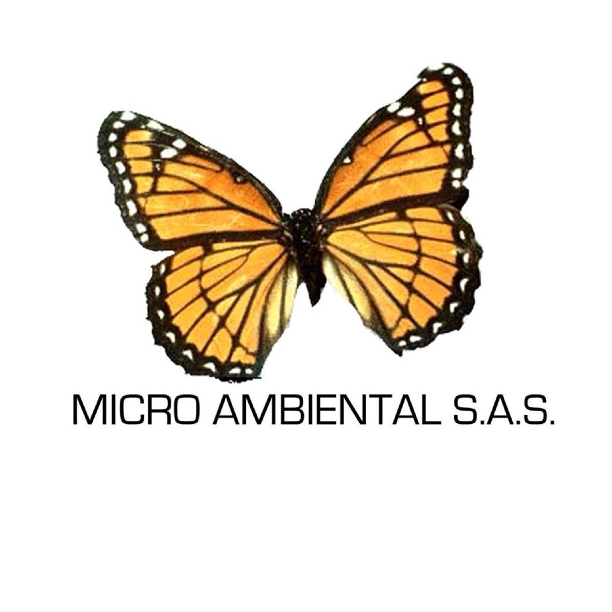 AMicroAmbiental's profile picture. 