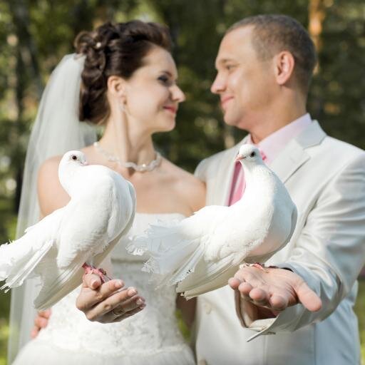 gardacharmewedd's profile picture. GardaCharme wedding
Voi immaginate,noi realizziamo....   Riva del  Garda                             0039-3936790560  wedding@gardacharme.com