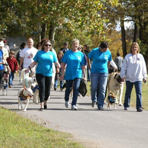 Walk to raise awareness of canine cancer and fundraise for cancer research