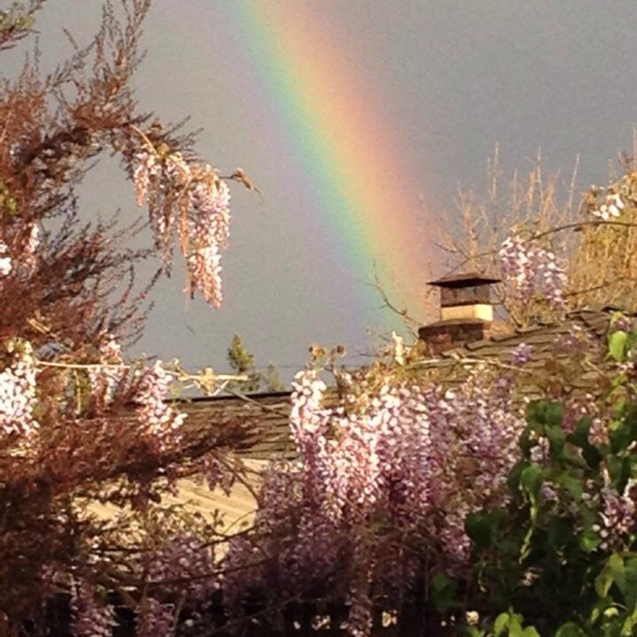 excelpro707's profile picture. 