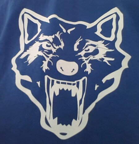 FilbertTweet's profile picture. Account dedicated to all things Leicester City Related (Because the world needed another one). Please follow for all the #LCFC news you've already heard.